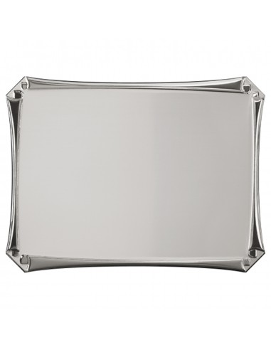 PLACA GRABADO 17-200 PLATA