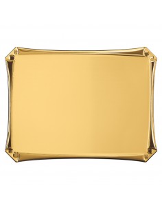 PLACA GRABADO 17-210 ORO