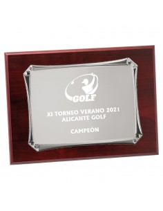 PLACA 17-201 PLATA C/MADERA