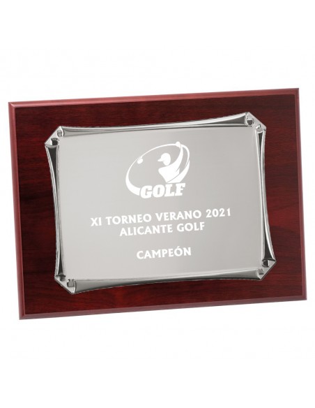 PLACA 17-201 PLATA C/MADERA