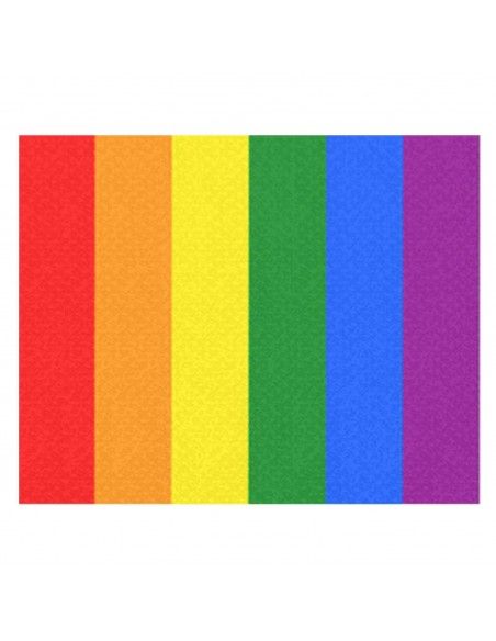 CINTA C/MOSQUETON 10 MM LGTBI
