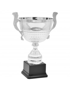 COPA SERIE 63-1201