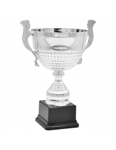 COPA SERIE 63-1201