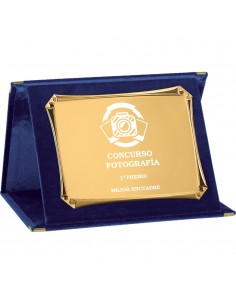 PLACA 17-213 DORADA C/ESTUCHE TARGA