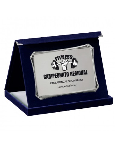 PLACA 17-204 PLATA C/ESTUCHE TARGA