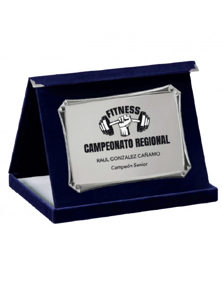 PLACA 17-204 PLATA C/ESTUCHE TARGA