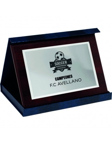 PLACA 17-192 PLATA C/ESTUCHE SUBLIMACION