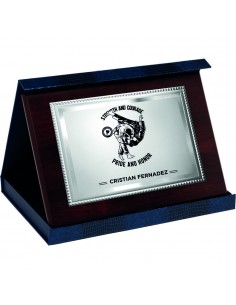 PLACA 17-122 PLATA C/ESTUCHE SUBLIMACION