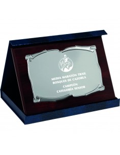 PLACA 17-222 PLATA C/ESTUCHE