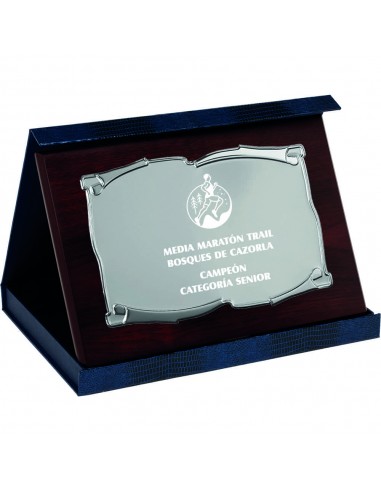 PLACA 17-222 PLATA C/ESTUCHE