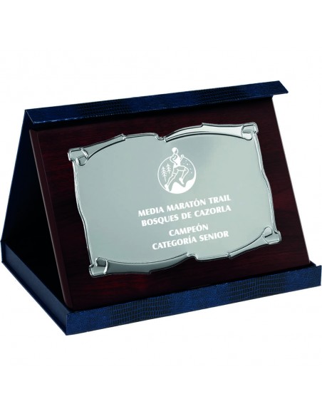 PLACA 17-222 PLATA C/ESTUCHE