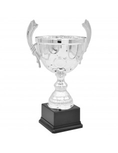 COPA SERIE 63-123