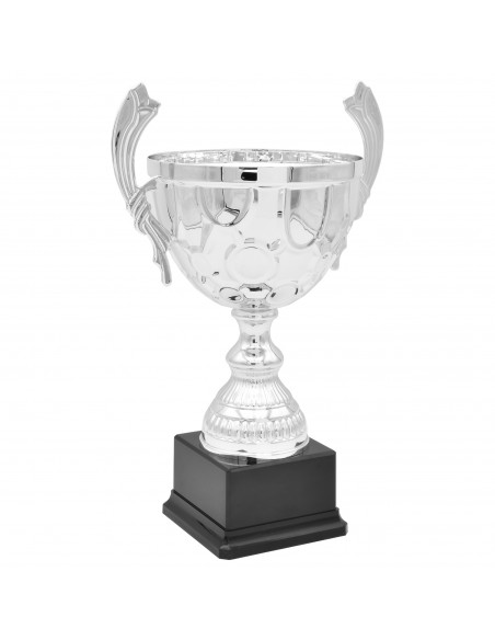 COPA SERIE 63-123