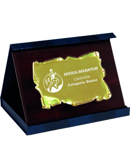 PLACA MINI 17-232 ORO C/ESTUCHE