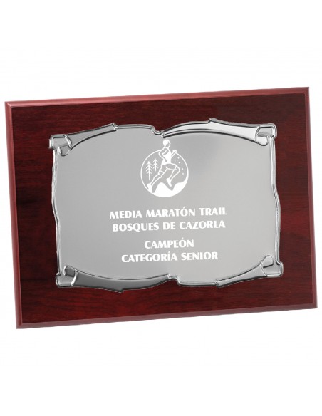 PLACA 17-221 PLATA C/MADERA