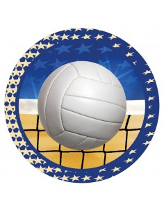 CENTRO COLOR Ø40MM VOLEIBOL