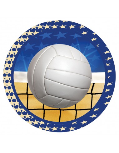CENTRO COLOR Ø40MM VOLEIBOL