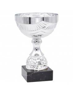 COPA SERIE 63-131