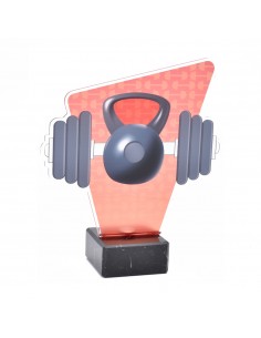 TROFEO METACRILATO CROSSFIT
