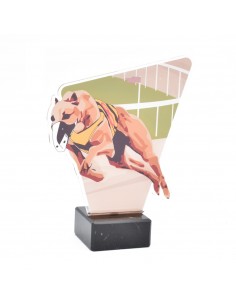 TROFEO METACRILATO GALGOS