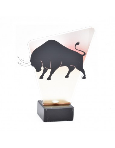 TROFEO METACRILATO TOROS