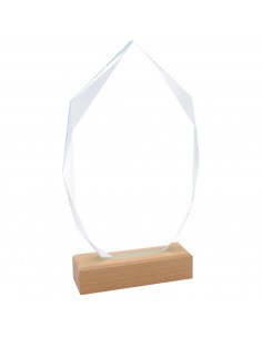 TROFEO CRISTAL 801 BASE MADERA C/ESTUCHE