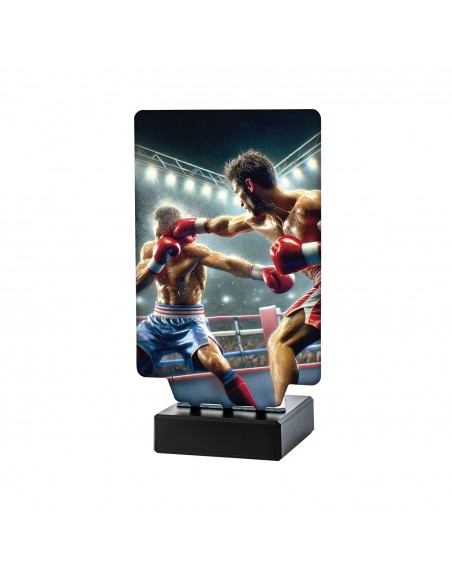 TROFEO BOXEO MASCULINO