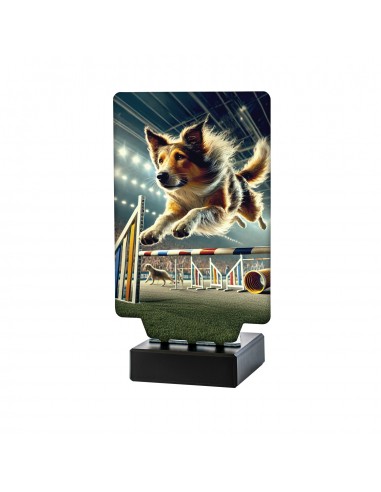TROFEO AURA MASCOTAS AGILITY