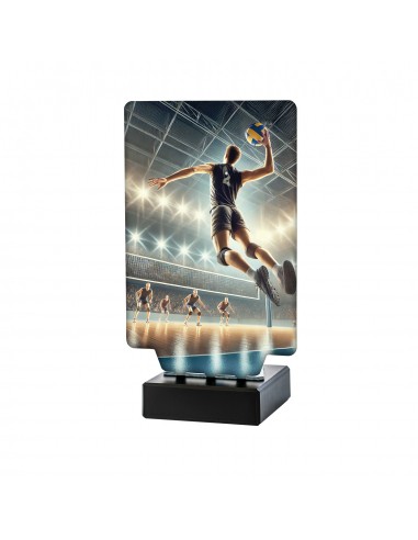 TROFEO AURA VOLEIBOL MASCULINO