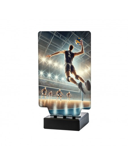 TROFEO AURA VOLEIBOL MASCULINO