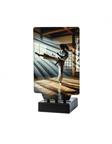 TROFEO KARATE FEMENINO