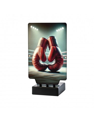 TROFEO AURA BOXEO GUANTES