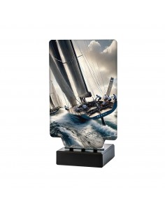 TROFEO VELA REGATA COMPETICION