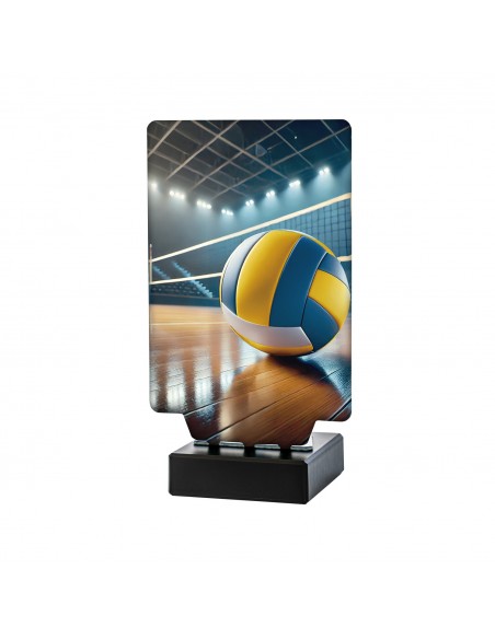 TROFEO AURA VOLEIBOL