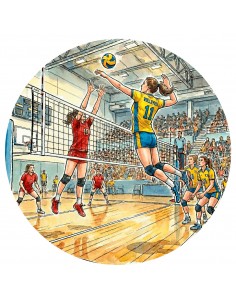 DISCO BOSTON Ø80 MM VOLEIBOL FEMENINO