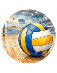 DISCO BOSTON Ø80 MM VOLEIBOL GENERICO