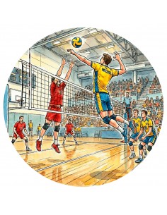 DISCO BOSTON Ø80 MM VOLEIBOL MASCULINO
