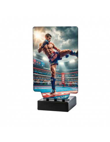 TROFEO AURA KICKBOXING