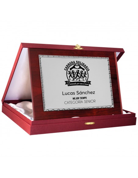 PLACA 17-266 PLATA C/ESTUCHE GRANATE
