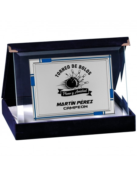 PLACA 17-245 PLATA C/CRISTAL Y ESTUCHE TARGA