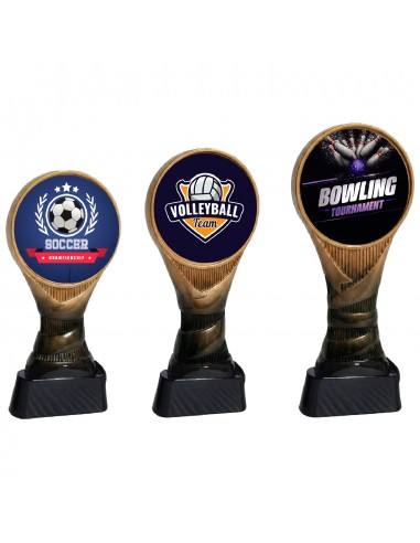 TROFEO RESINA BOSTON PERSONALIZADO