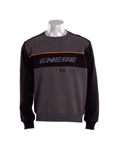 Sudadera enebe mustang