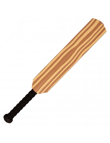 Bate con pelota críquet softee