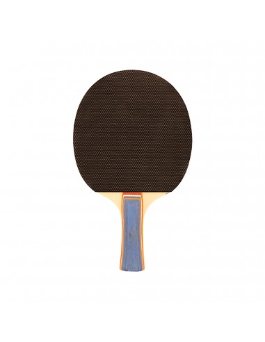 Raqueta tenis de mesa softee p100