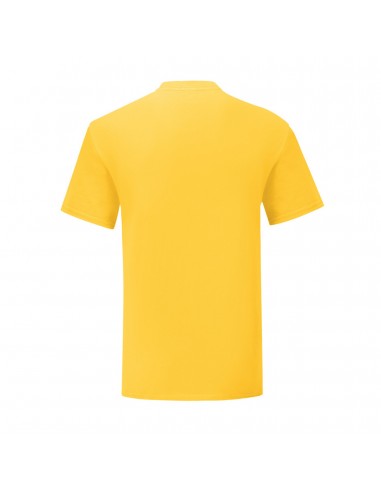 Camiseta fruit of the loom iconic 150 t