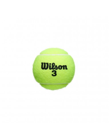 Bote de 3 pelotas tenis wilson roland garros all