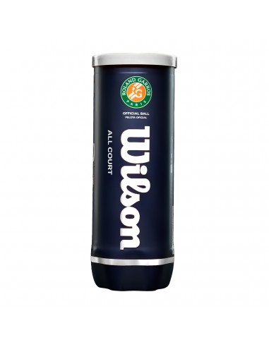 Bote de 3 pelotas tenis wilson roland garros all