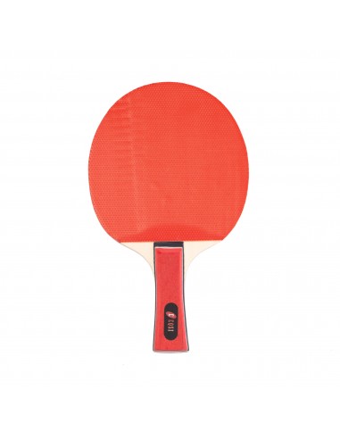 Pala ping-pong eqsi