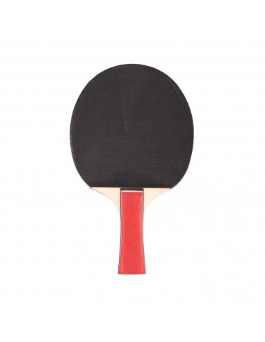 Pala ping-pong eqsi