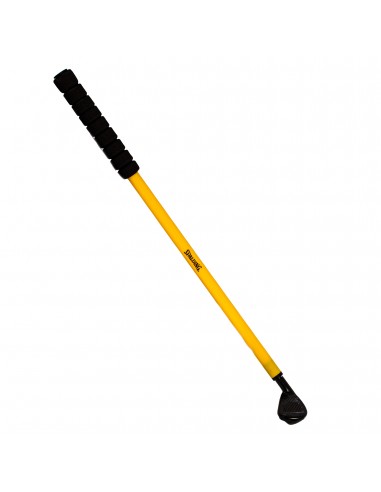 Palo golf spalding golf club & ball set